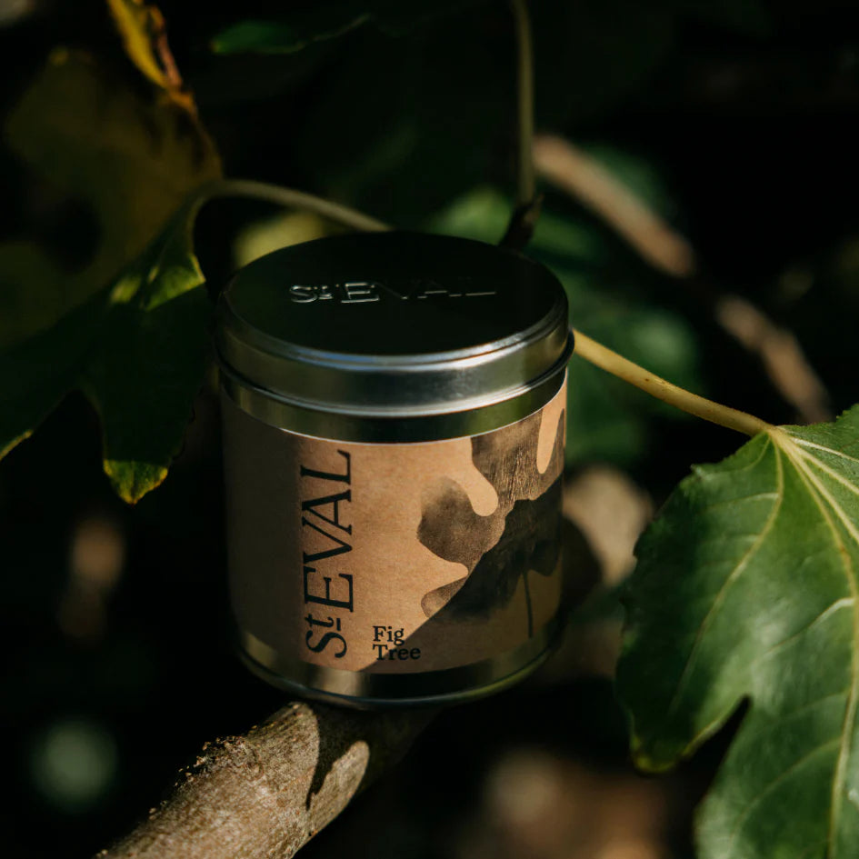 Fig Tree Scented Tin Candle