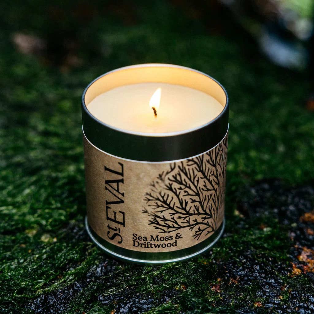 Sea Moss & Driftwood Scented Tin Candle